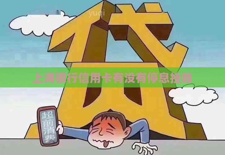 上海银行信用卡有没有停息挂账