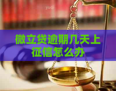 微立贷逾期几天上怎么办