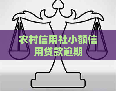 农村信用社小额信用贷款逾期
