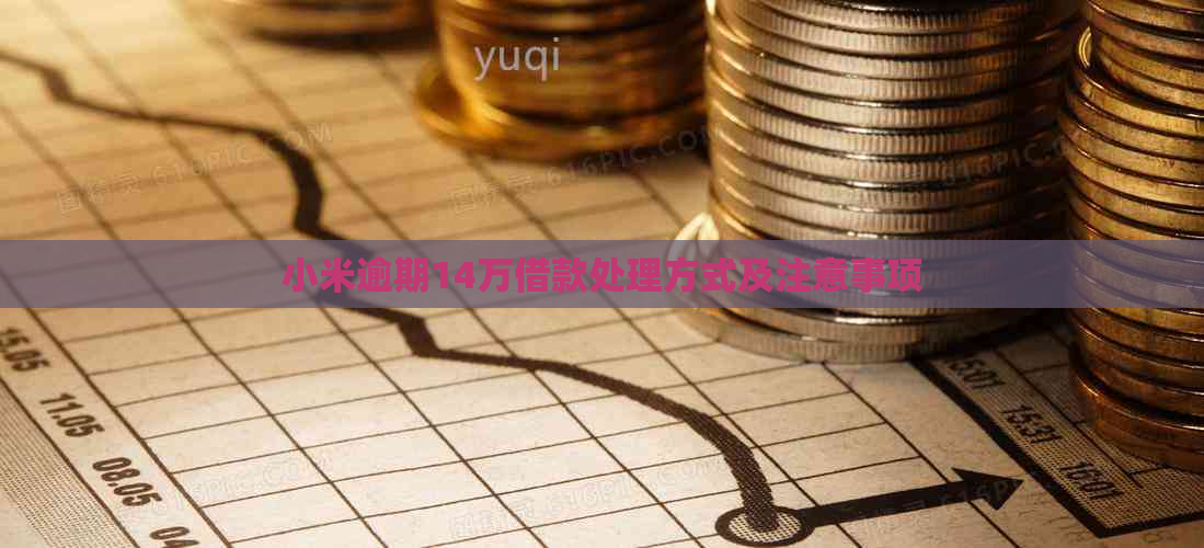 小米逾期14万借款处理方式及注意事项