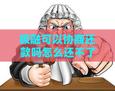 极融可以协商还款吗怎么还不了
