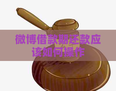 微博借款期还款应该如何操作
