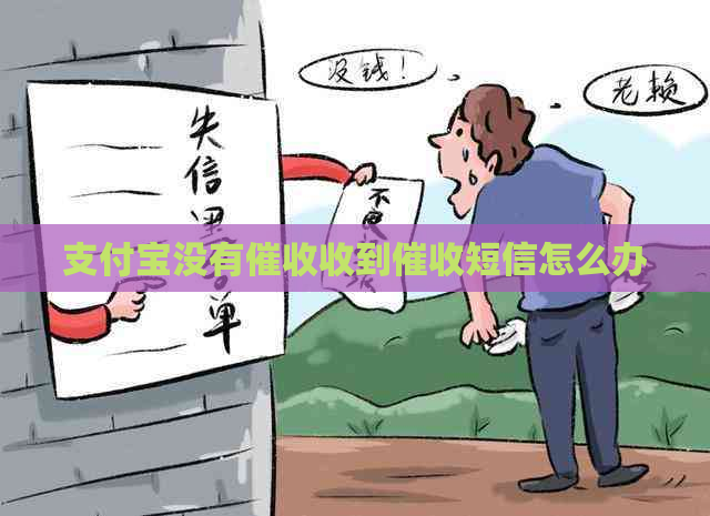 支付宝没有收到短信怎么办