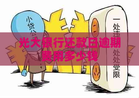 光大银行还款日逾期费用多少钱