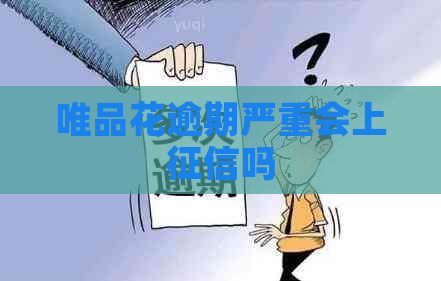 唯品花逾期严重会上吗