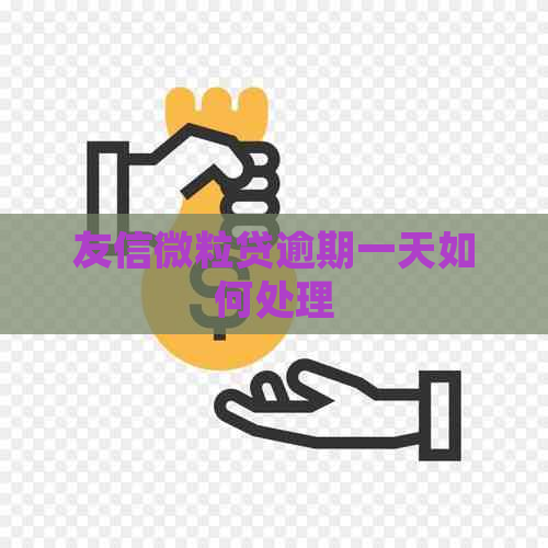 友信微粒贷逾期一天如何处理