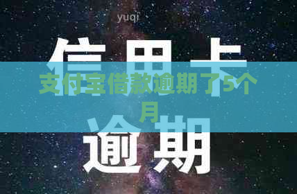 支付宝借款逾期了5个月
