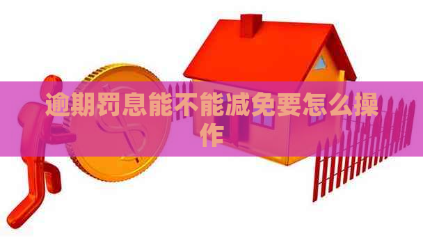 逾期罚息能不能减免要怎么操作