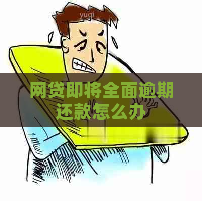 网贷即将全面逾期还款怎么办
