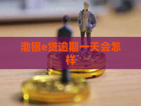 渤银e贷逾期一天会怎样