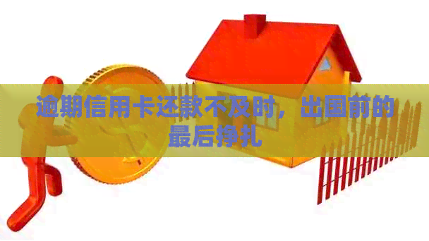 逾期信用卡还款不及时，出国前的最后挣扎