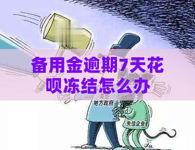 备用金逾期7天花呗冻结怎么办