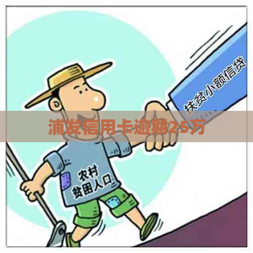 浦发信用卡逾期25万
