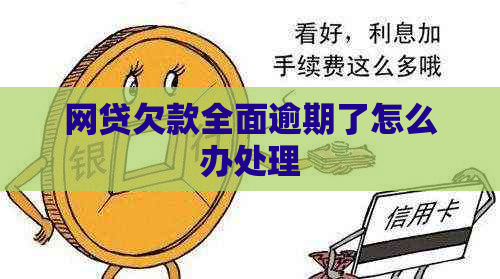 网贷欠款全面逾期了怎么办处理