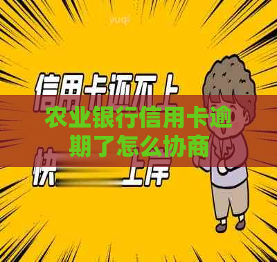 农业银行信用卡逾期了怎么协商