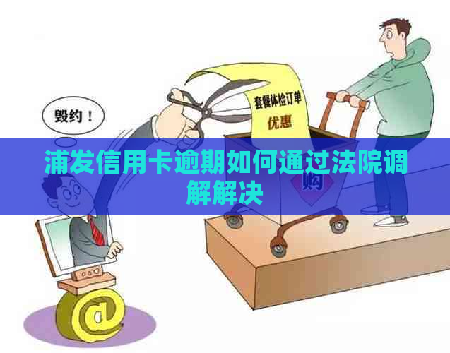 浦发信用卡逾期如何通过法院调解解决