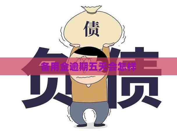 备用金逾期五天会怎样