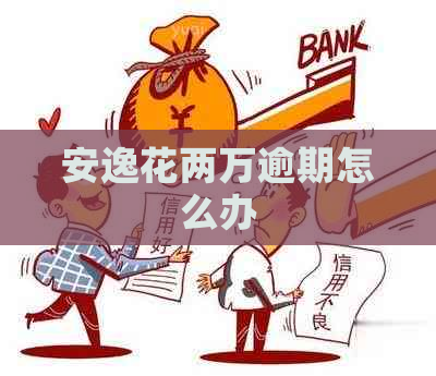 安逸花两万逾期怎么办