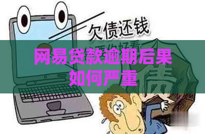 网易贷款逾期后果如何严重