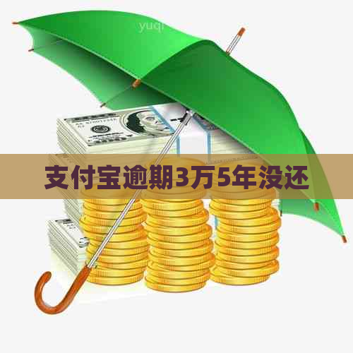 支付宝逾期3万5年没还