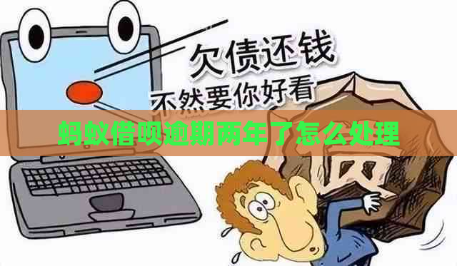 蚂蚁借呗逾期两年了怎么处理