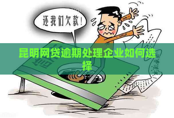 昆明网贷逾期处理企业如何选择