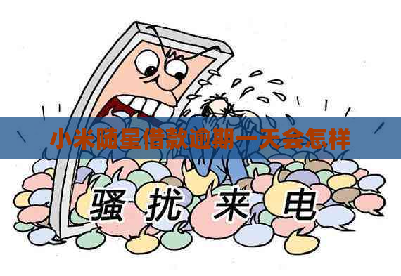 小米随星借款逾期一天会怎样