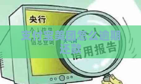 支付宝美团怎么逾期还款