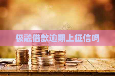 极融借款逾期上吗