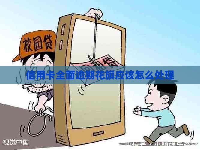 信用卡全面逾期花旗应该怎么处理