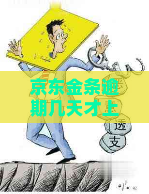 京东金条逾期几天才上