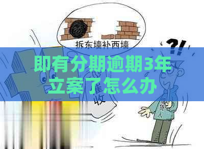 即有分期逾期3年立案了怎么办