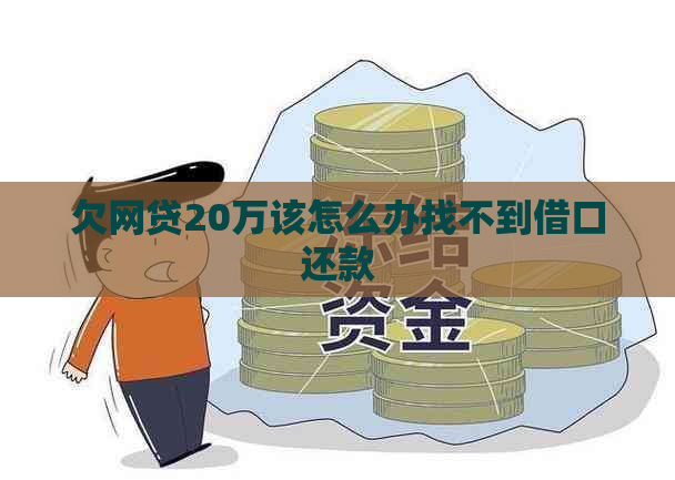 欠网贷20万该怎么办找不到借口还款