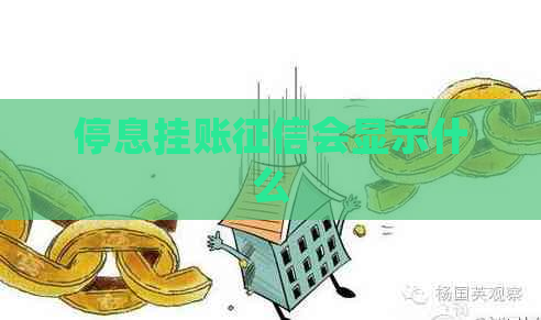 停息挂账会显示什么