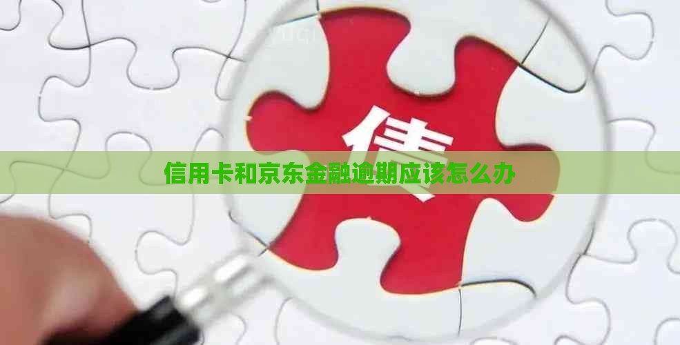 信用卡和京东金融逾期应该怎么办