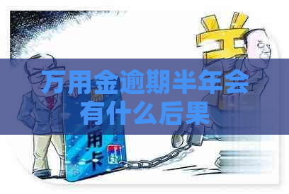 万用金逾期半年会有什么后果