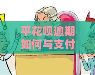 平花呗逾期如何与支付宝协商还款