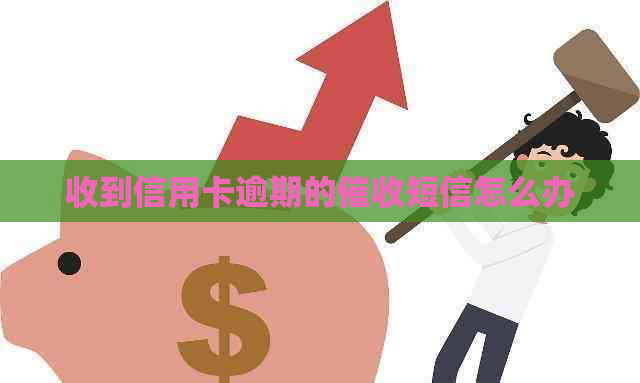 收到信用卡逾期的短信怎么办