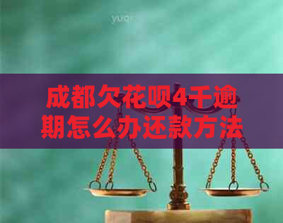 成都欠花呗4千逾期怎么办还款方法有哪些