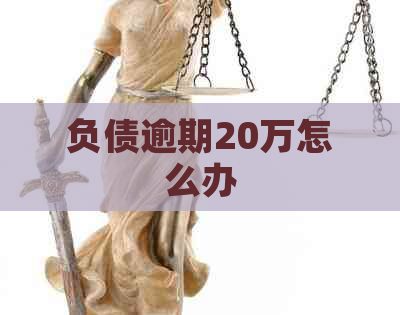 负债逾期20万怎么办