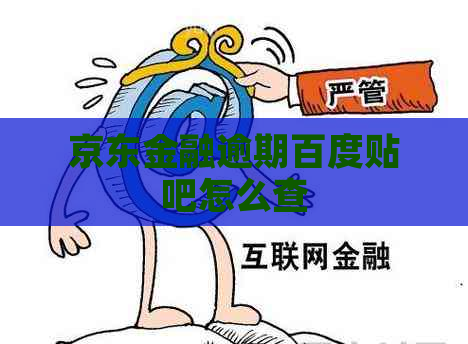 京东金融逾期百度贴吧怎么查