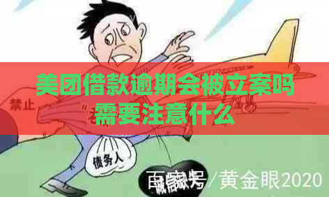 美团借款逾期会被立案吗需要注意什么