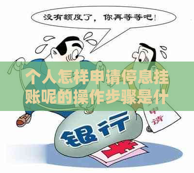 个人怎样申请停息挂账呢的操作步骤是什么