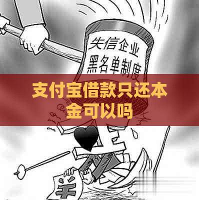 支付宝借款只还本金可以吗