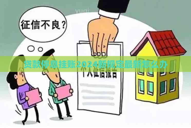 贷款停息挂账2024新规定最新怎么办