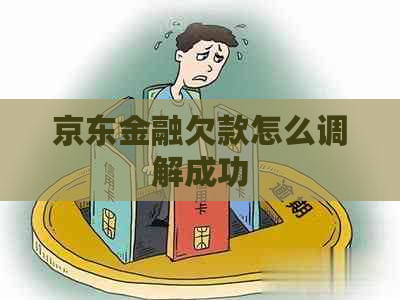 京东金融欠款怎么调解成功