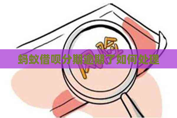 蚂蚁借呗分期逾期了如何处理