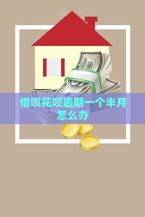借呗花呗逾期一个半月怎么办