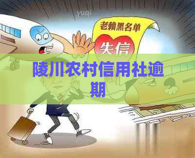 陵川农村信用社逾期