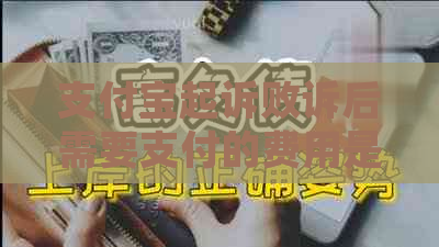 支付宝起诉败诉后需要支付的费用是多少